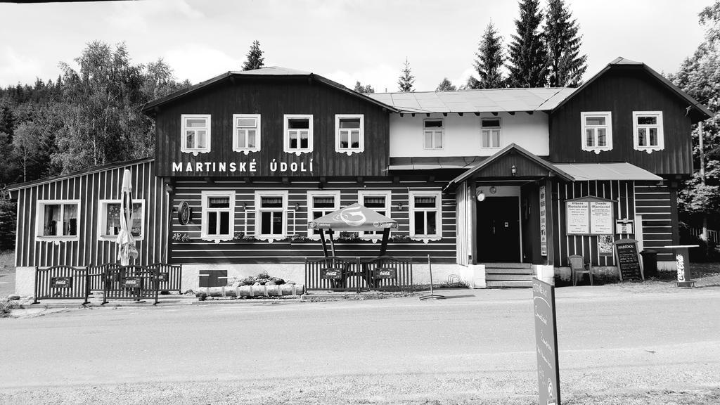 Pension Martinské údolí Kořenov Exterior foto